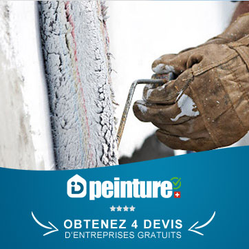 Ravalement peinture facade